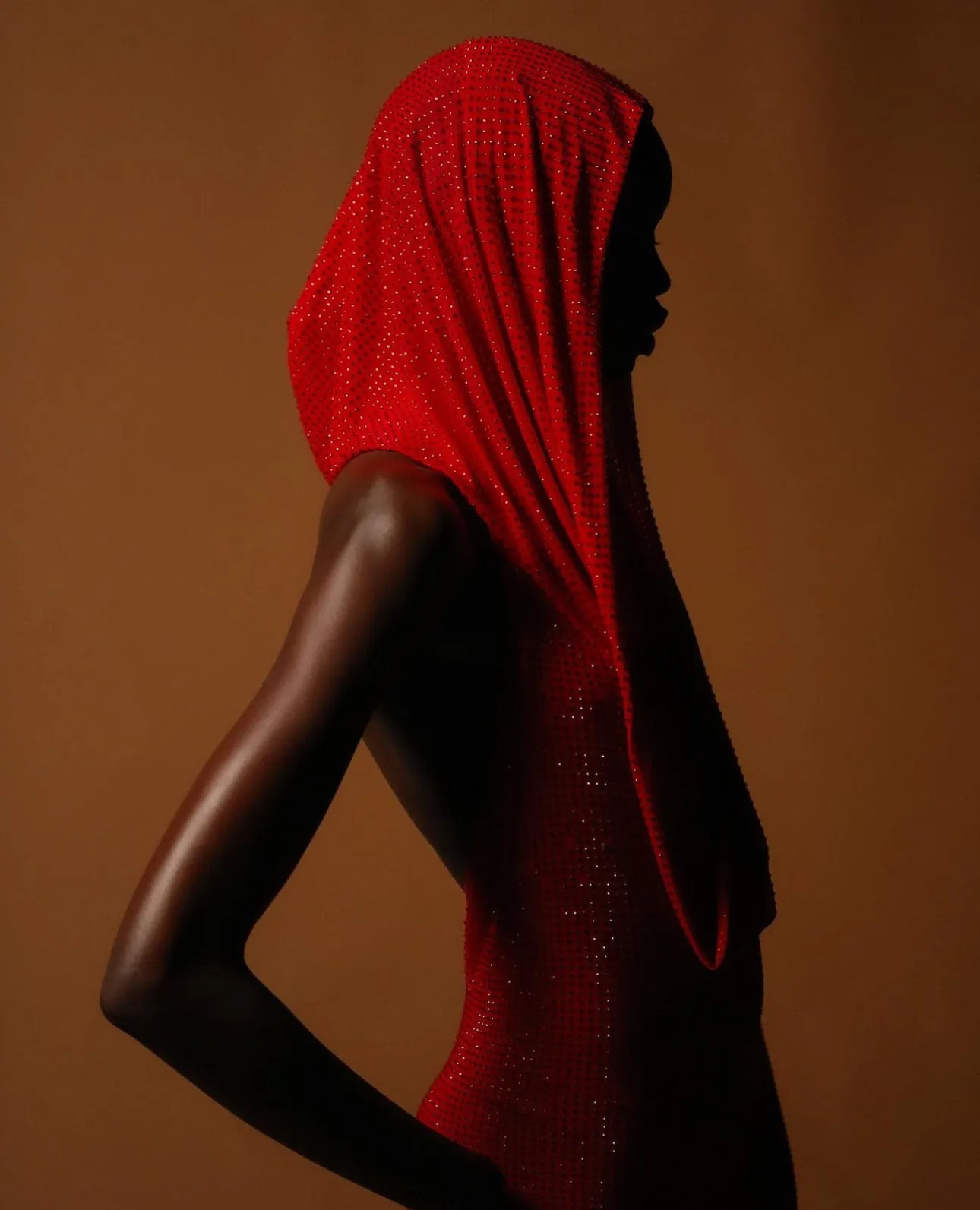 Red Crystalized Hooded Dress